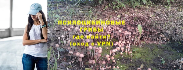 соль ск Надым