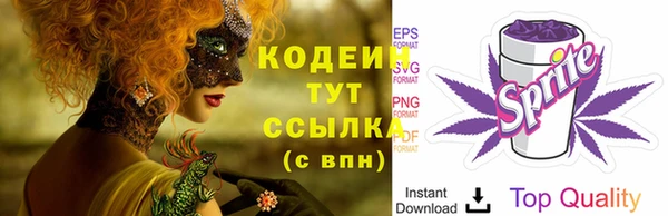 соль ск Надым
