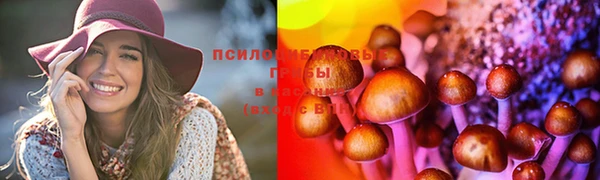 соль ск Надым