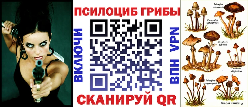kraken ССЫЛКА Сертолово Галлюциногенные грибы Magic Shrooms